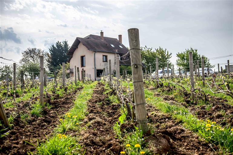 DOMAINE EPERNAY - CLOS