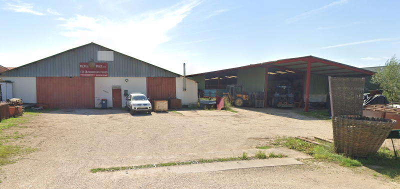 OSERAIES DE FRANCE, PRODUCTION  DE SAULES ET VENTE D'OSIER