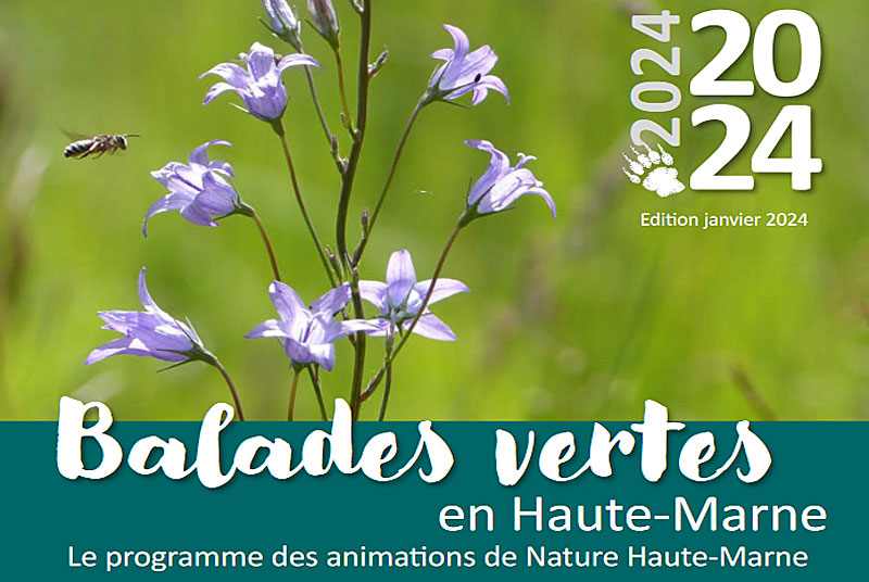 BALADES VERTES EN HAUTE MARNE : ARBRES REMARQUABLES : VRAIMENT ? null France null null null null