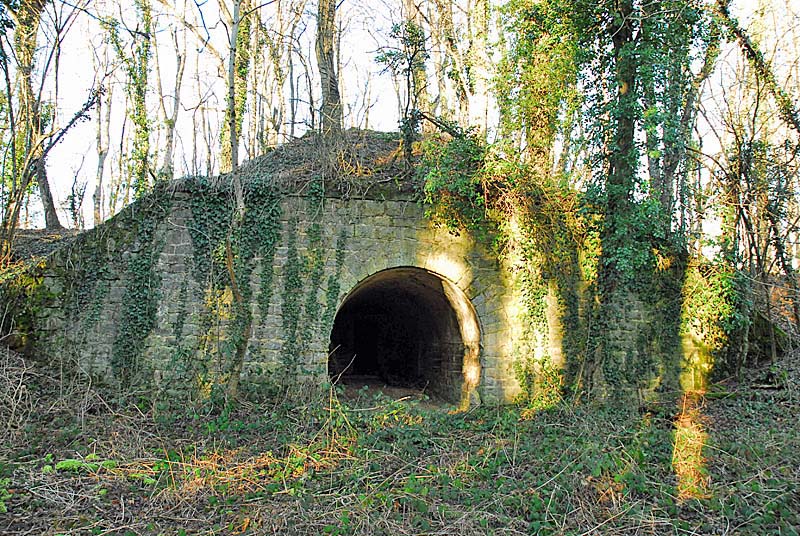 BATTERIE N°1 DE PLESNOY, Plesnoy