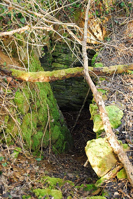 BATTERIE N°1 DE PLESNOY, Plesnoy - photo 6