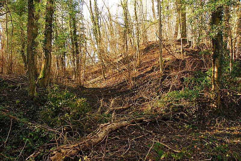 BATTERIE N°1 DE PLESNOY, Plesnoy - photo 16