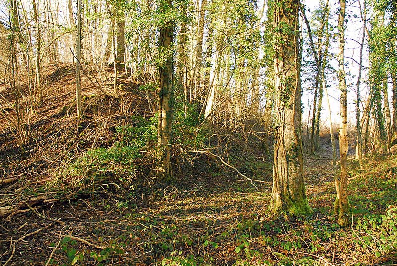 BATTERIE N°1 DE PLESNOY, Plesnoy - photo 17