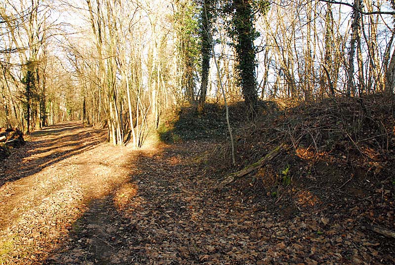 BATTERIE N°2 DE PLESNOY