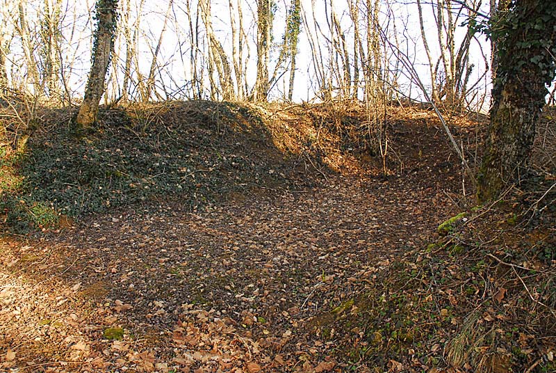 BATTERIE N°2 DE PLESNOY, Plesnoy - photo 2