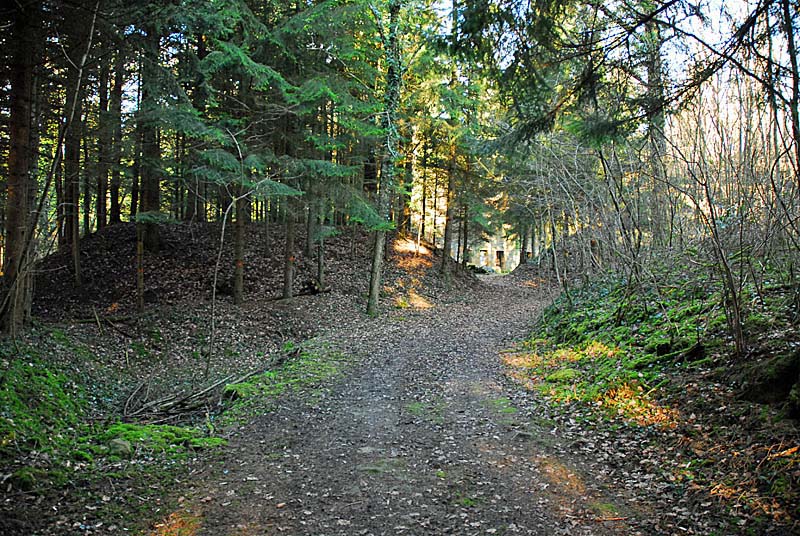 BATTERIE N°2 DE PLESNOY, Plesnoy - photo 16