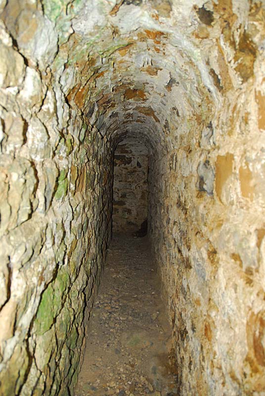 BATTERIE N°2 DE PLESNOY, Plesnoy - photo 13