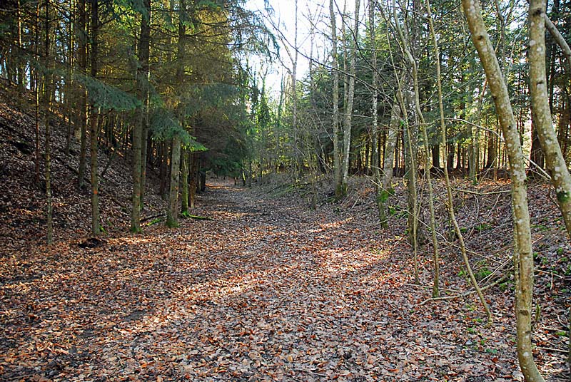 BATTERIE N°2 DE PLESNOY, Plesnoy - photo 23