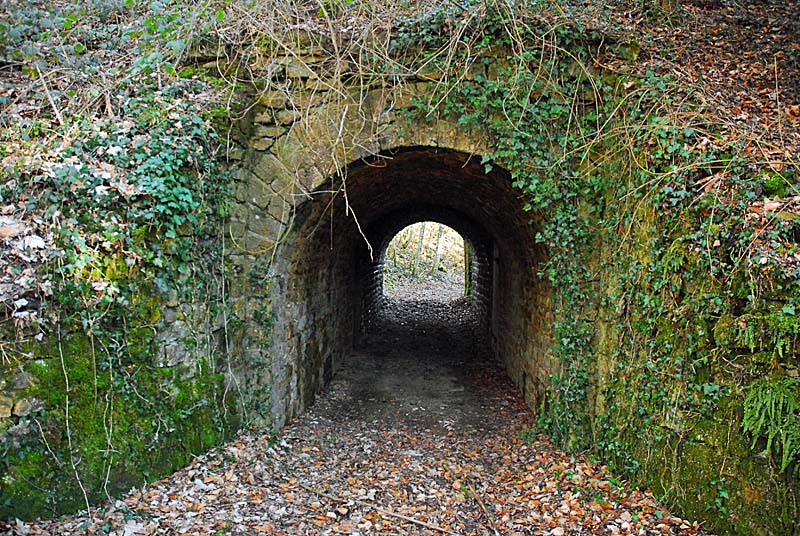 BATTERIE N°2 DE PLESNOY, Plesnoy - photo 5