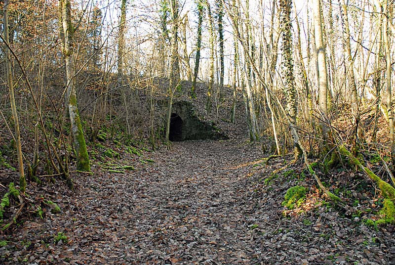 BATTERIE N°2 DE PLESNOY, Plesnoy - photo 14