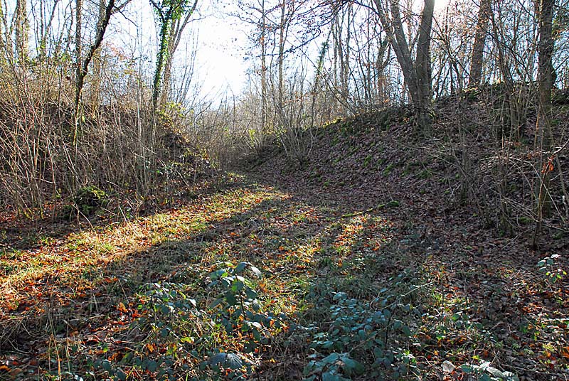 BATTERIE N°3 DE PLESNOY, Plesnoy - photo 3