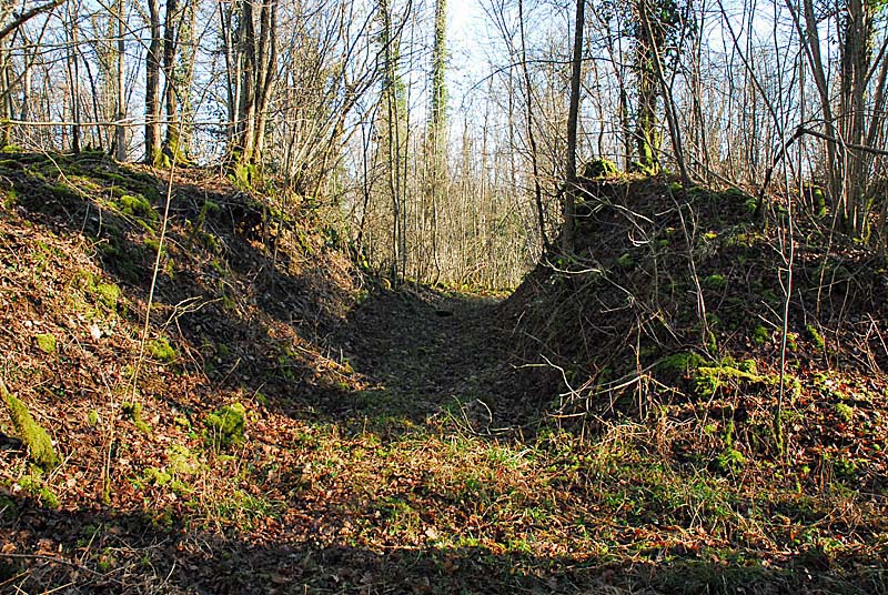 BATTERIE N°3 DE PLESNOY, Plesnoy - photo 5