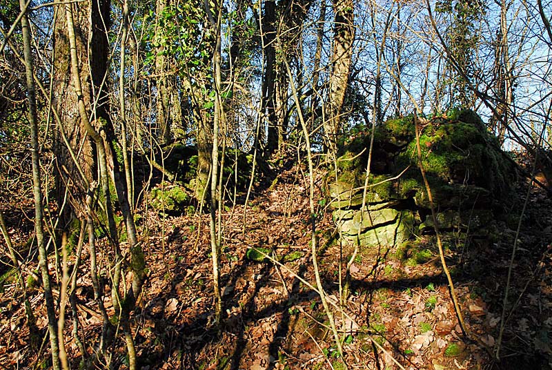 BATTERIE N°3 DE PLESNOY, Plesnoy - photo 7