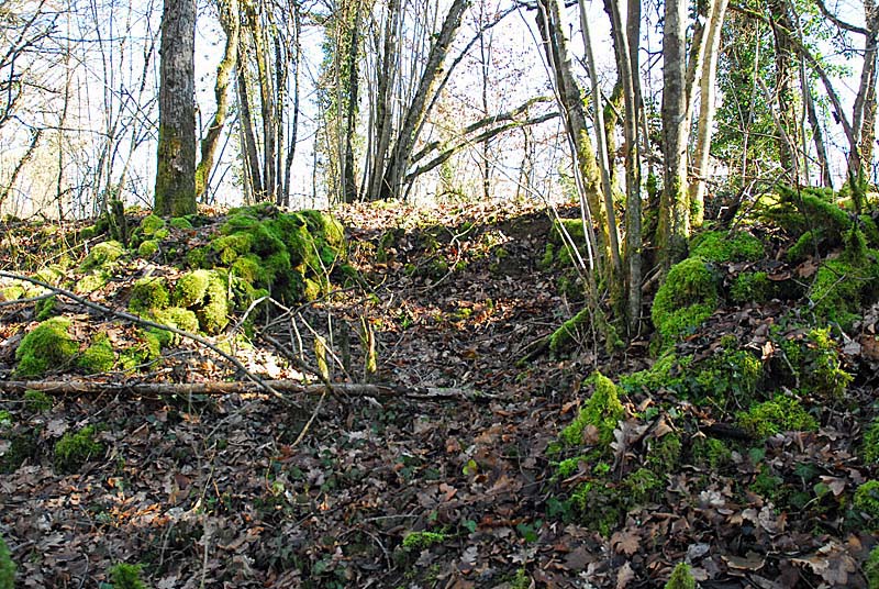 BATTERIE N°3 DE PLESNOY, Plesnoy - photo 2