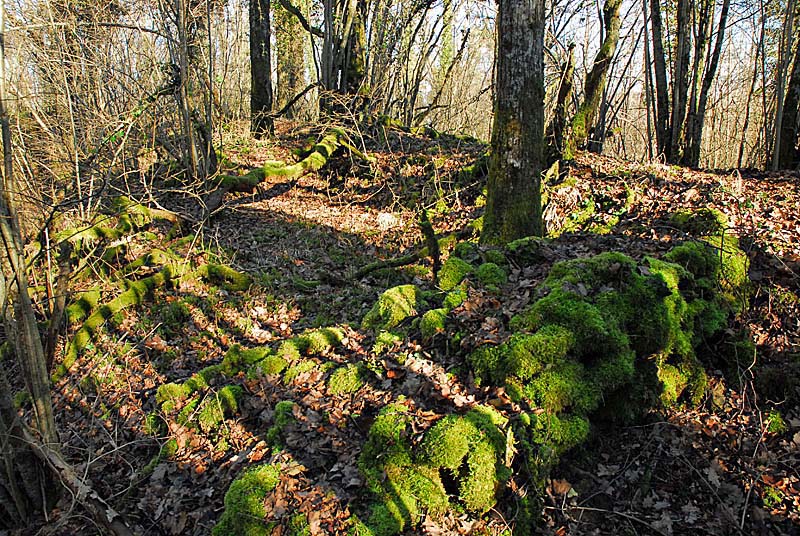 BATTERIE N°3 DE PLESNOY, Plesnoy