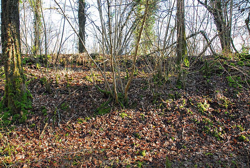 BATTERIE N°3 DE PLESNOY, Plesnoy - photo 6