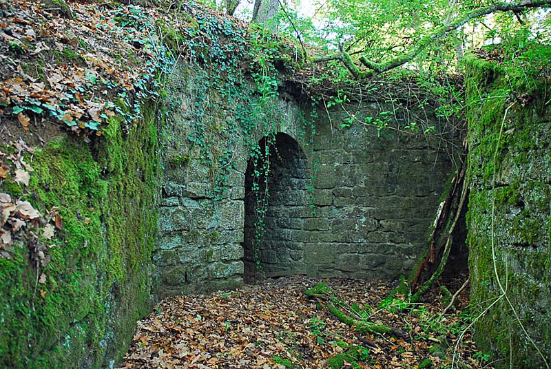 BATTERIE N°4 DE PLESNOY, Plesnoy - photo 3