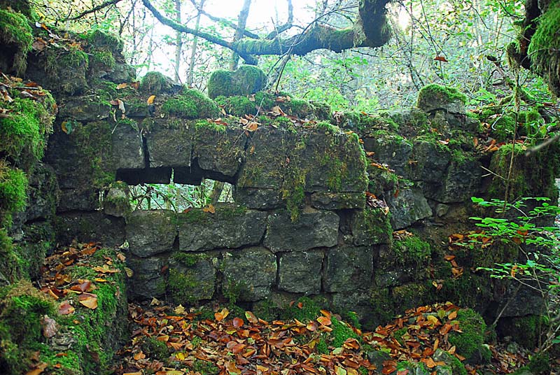 BATTERIE N°4 DE PLESNOY, Plesnoy - photo 2