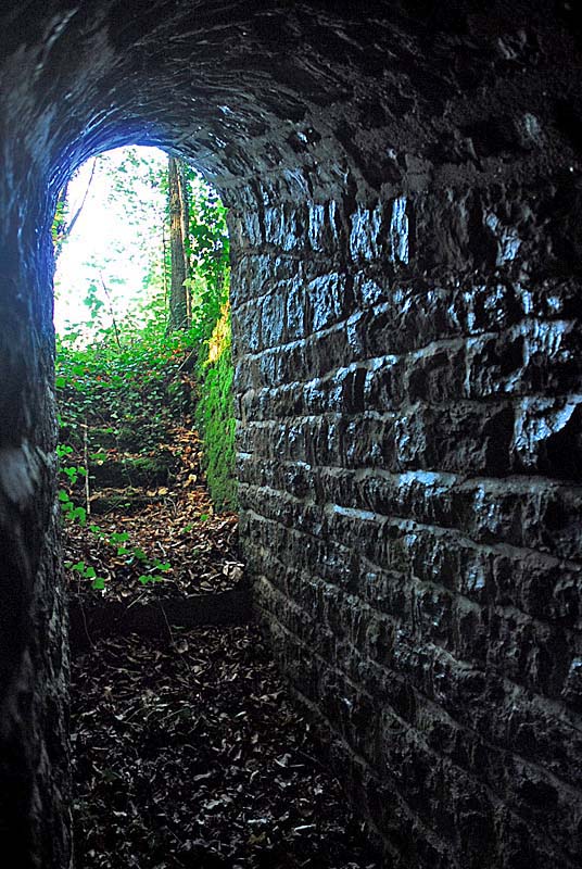 BATTERIE N°4 bis DE PLESNOY, Plesnoy - photo 2