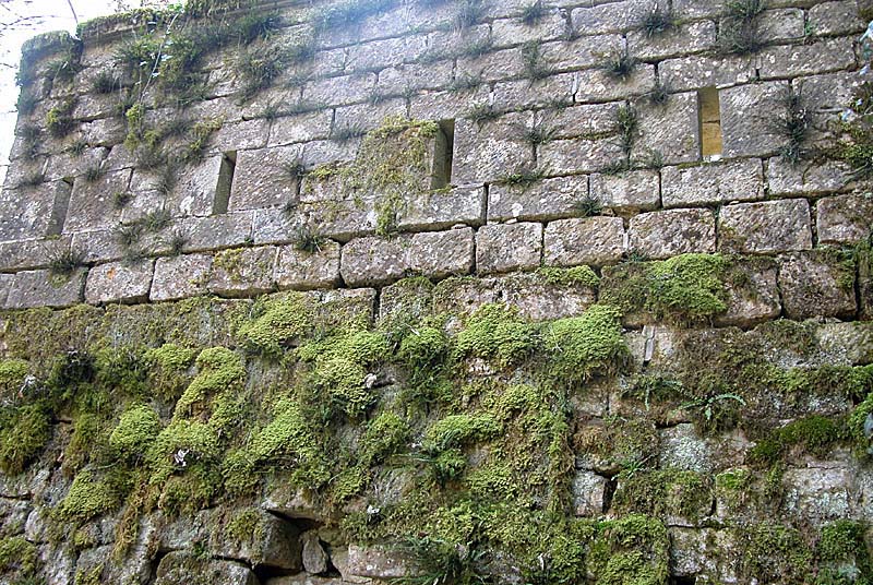 Batterie du Mont, Saints-Geosmes - photo 30