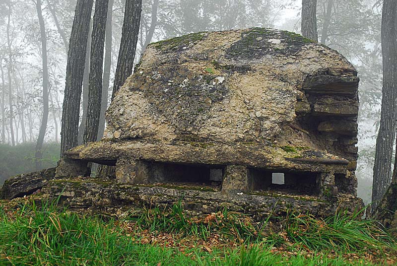 BATTERIE DU PAILLY, Le Pailly - photo 9