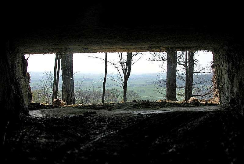 BATTERIE DU PAILLY, Le Pailly - photo 17