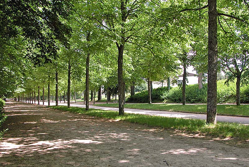 PROMENADE DE BLANCHEFONTAINE, Langres - photo 9