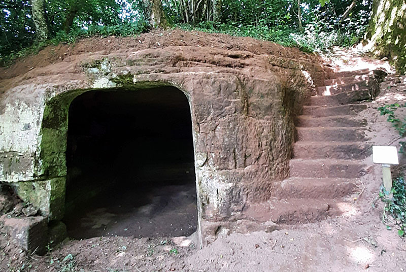 BOIS BANAL DE FAYL-BILLOT, Fayl-Billot