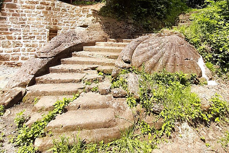BOIS BANAL DE FAYL-BILLOT, Fayl-Billot - photo 4