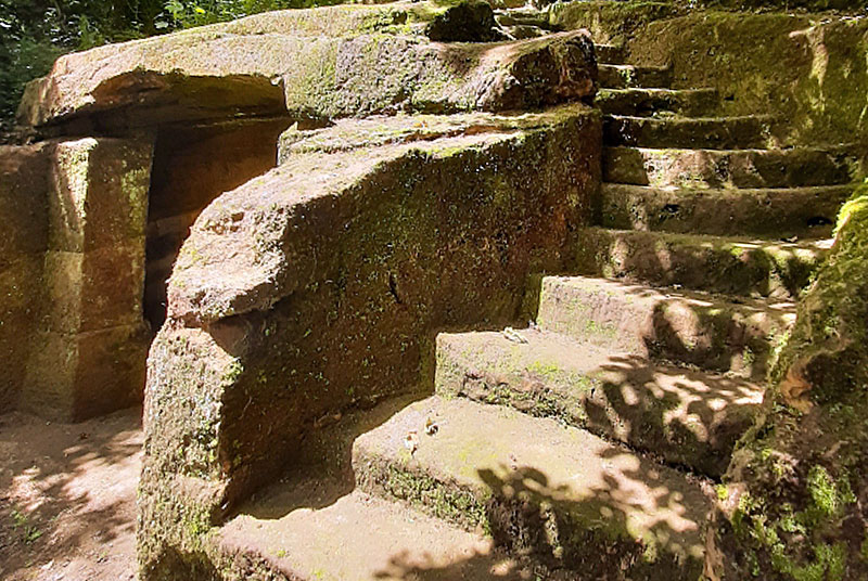 BOIS BANAL DE FAYL-BILLOT, Fayl-Billot - photo 3