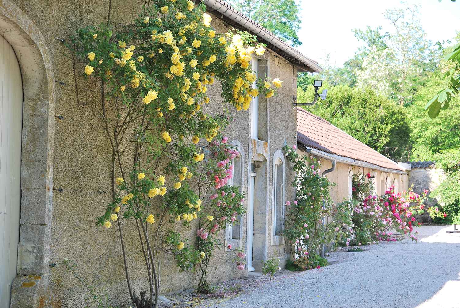 CHATEAU DE BROUTHIERES, Thonnance-les-Moulins - photo 3