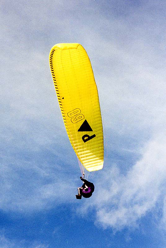 LES BUSES DU PLATEAU, Villiers-en-Lieu - photo 2