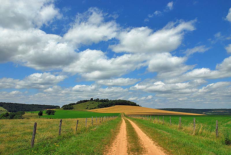BUTTE DE TALOISON, Bay-sur-Aube - photo 5
