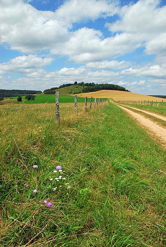 BUTTE DE TALOISON, Bay-sur-Aube - photo 2