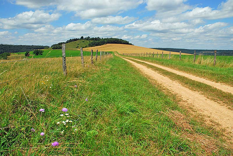 BUTTE DE TALOISON, Bay-sur-Aube - photo 9