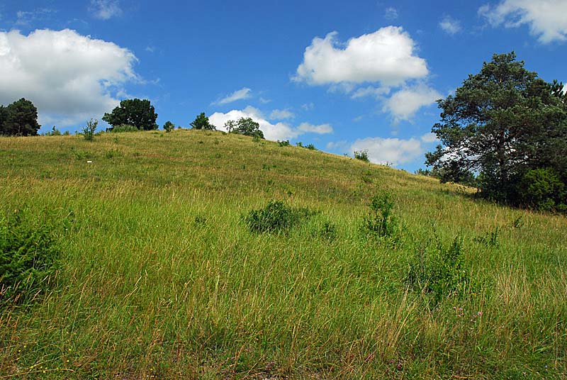 BUTTE DE TALOISON, Bay-sur-Aube - photo 7