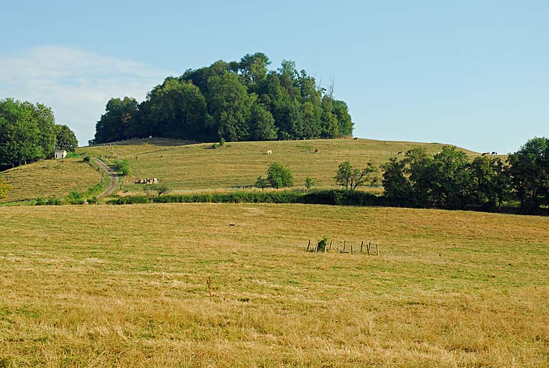 BUTTE SAINT-NICOLAS, Choiseul - photo 6