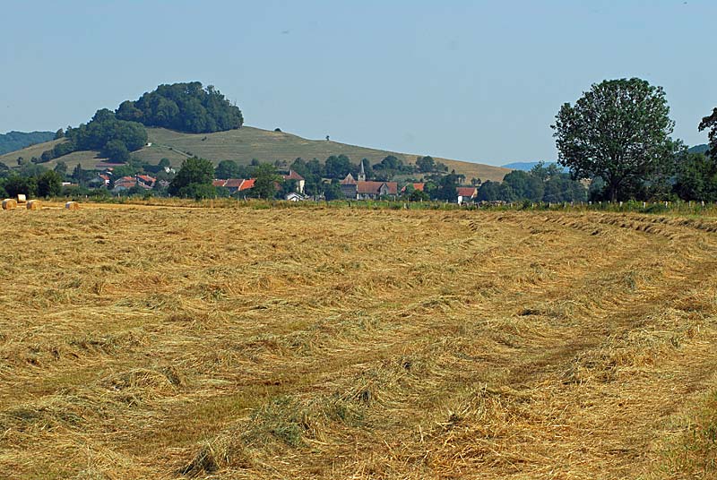 BUTTE SAINT-NICOLAS, Choiseul - photo 4