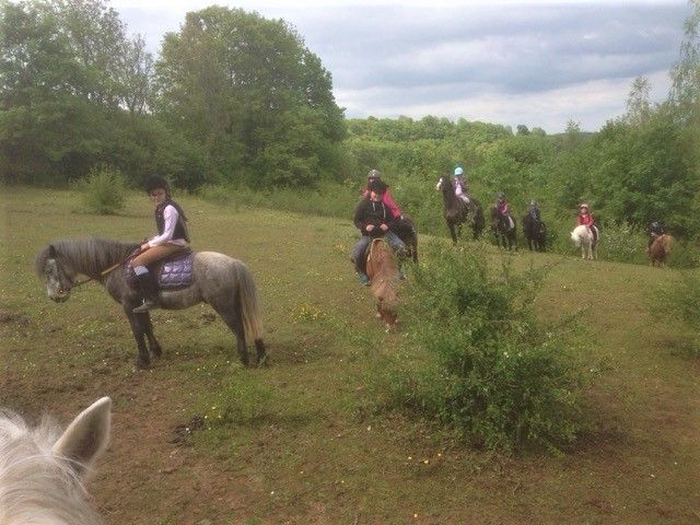 PONEY CLUB DE LA SUIZE