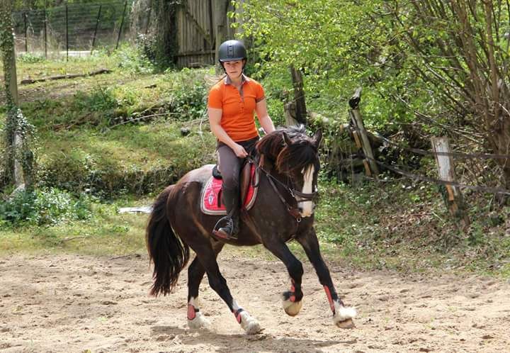 PONEY CLUB DE LA SUIZE
