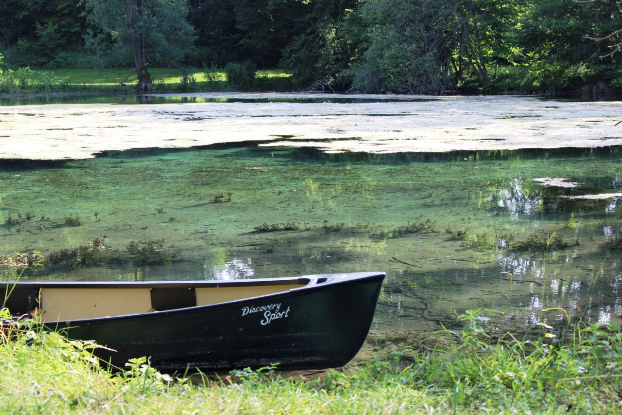 LA SOURCE BLEUE, Gudmont-Villiers - photo 9