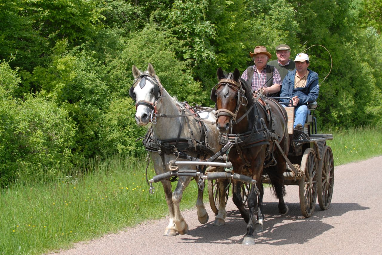 RANDONNEE EN CALECHE