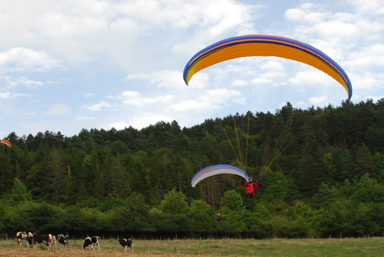 LES BUSES DU PLATEAU, Villiers-en-Lieu - photo 5