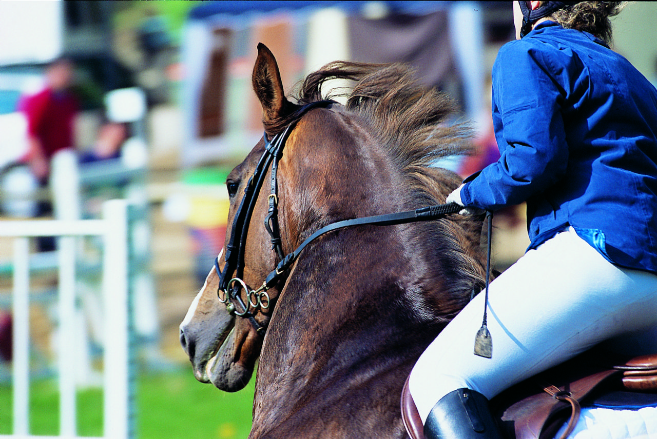 CENTRE EQUESTRE DE SAINT DIZIER