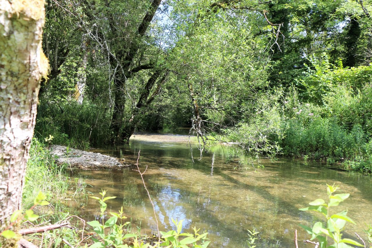 L'ORCHIDEE HOME, Roches-Bettaincourt