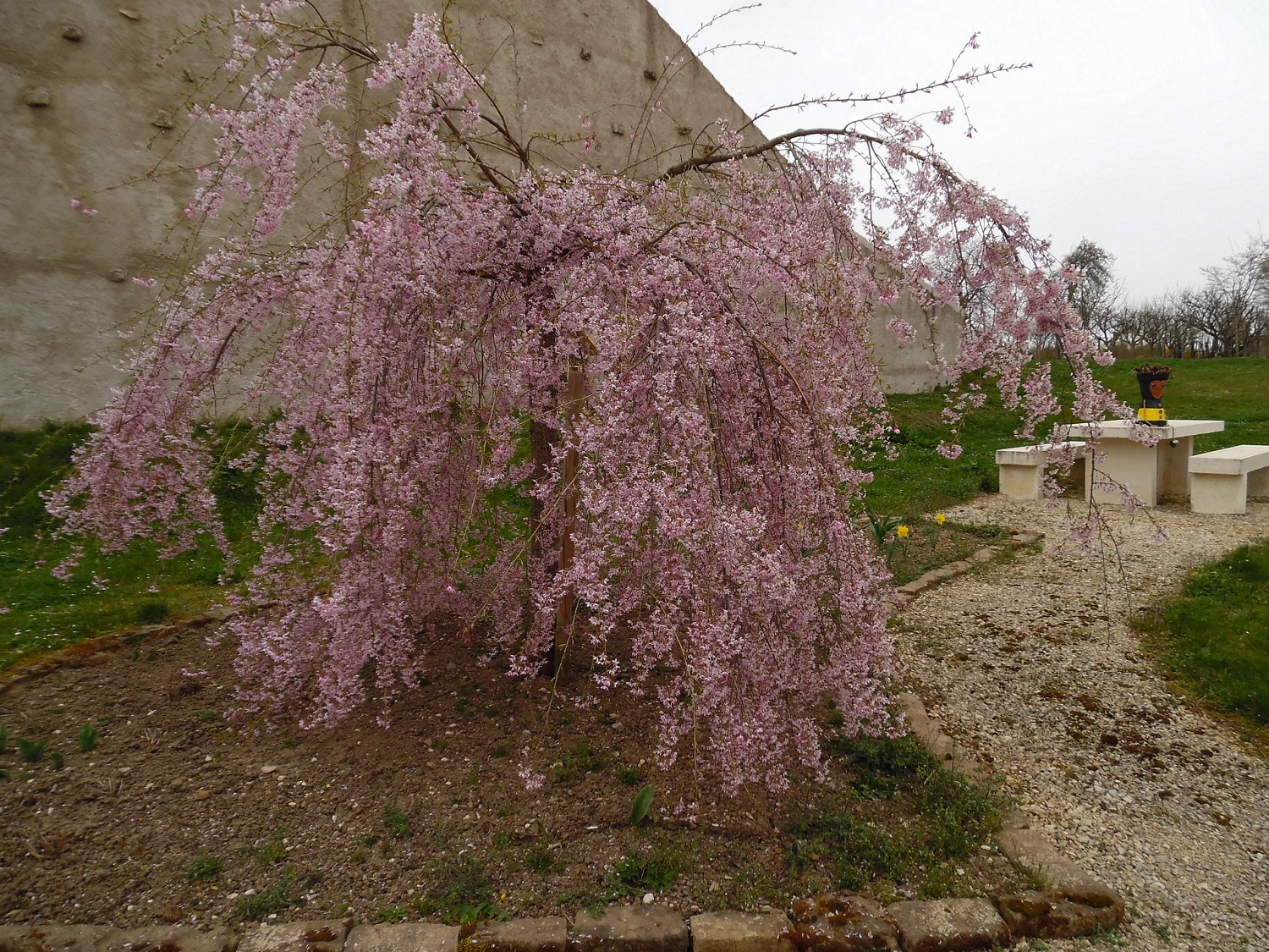AIRE DE PIQUE-NIQUE A CHARMOY