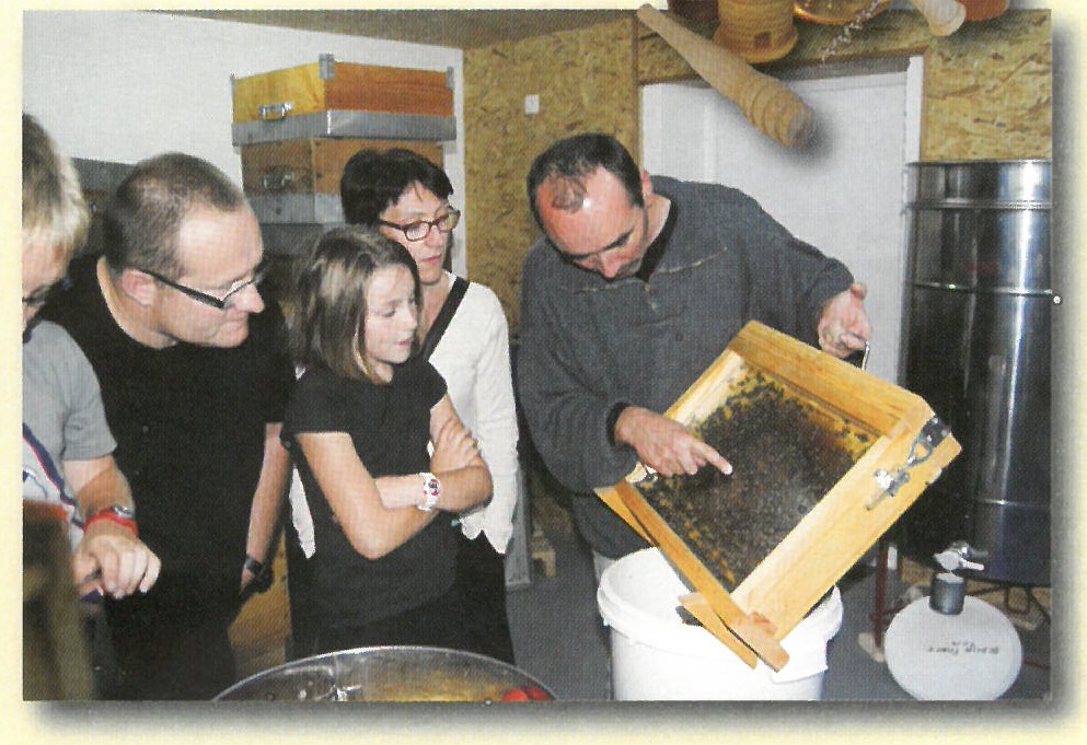 LE RUCHER DU PERE GAILLOT - MIEL D'APICULTEUR