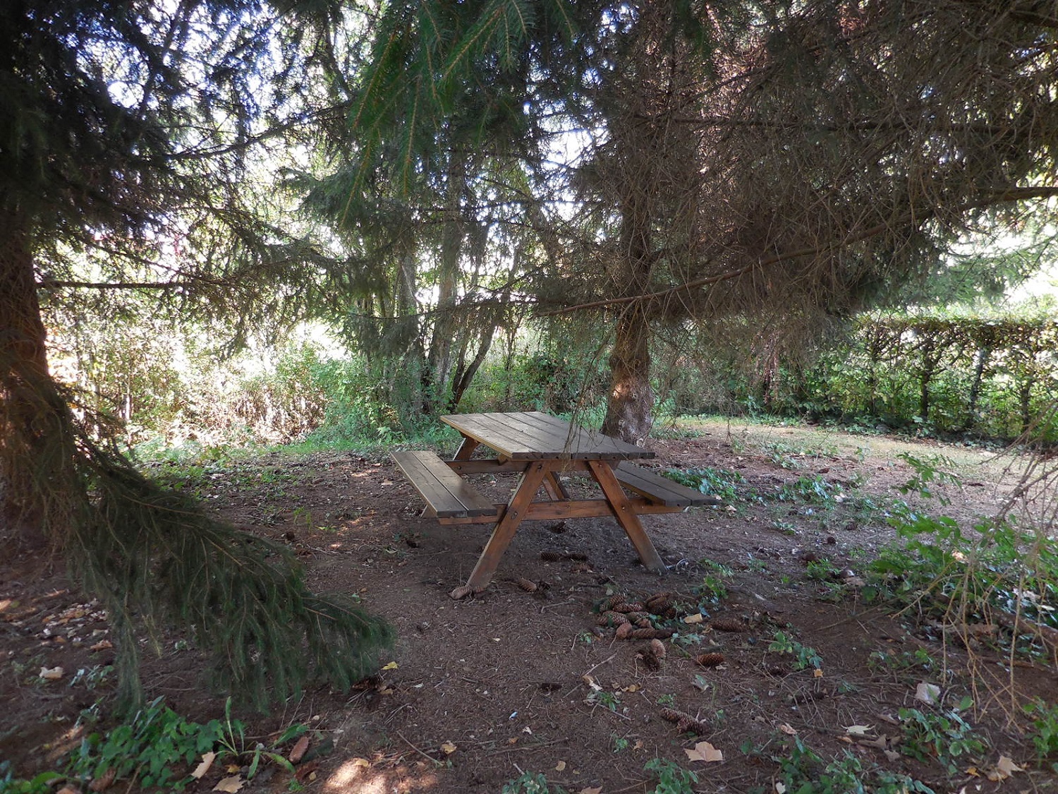 AIRE DE PIQUE-NIQUE ET AIRE DE JEUX DE CULMONT