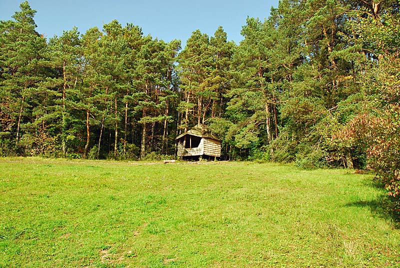 CABANE NATURE DE LA SAUVAGEONNE