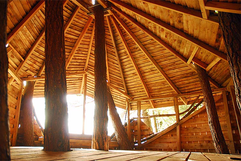 CABANE NATURE DE LA SAUVAGEONNE, Rouelles - photo 4